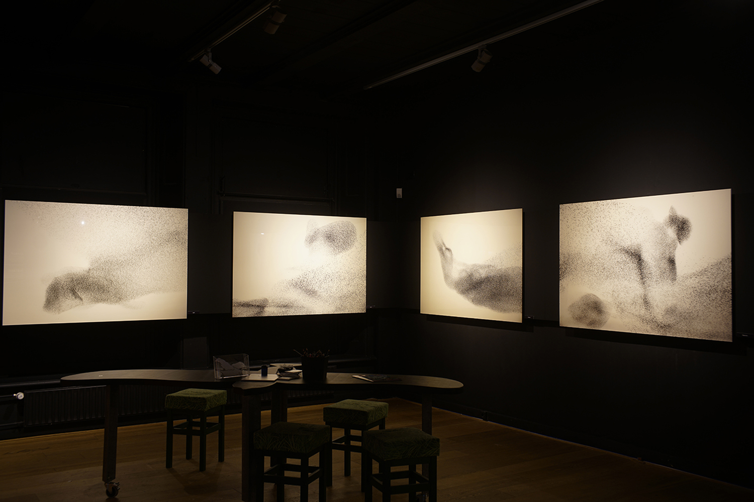 Natuurmuseum Fryslan